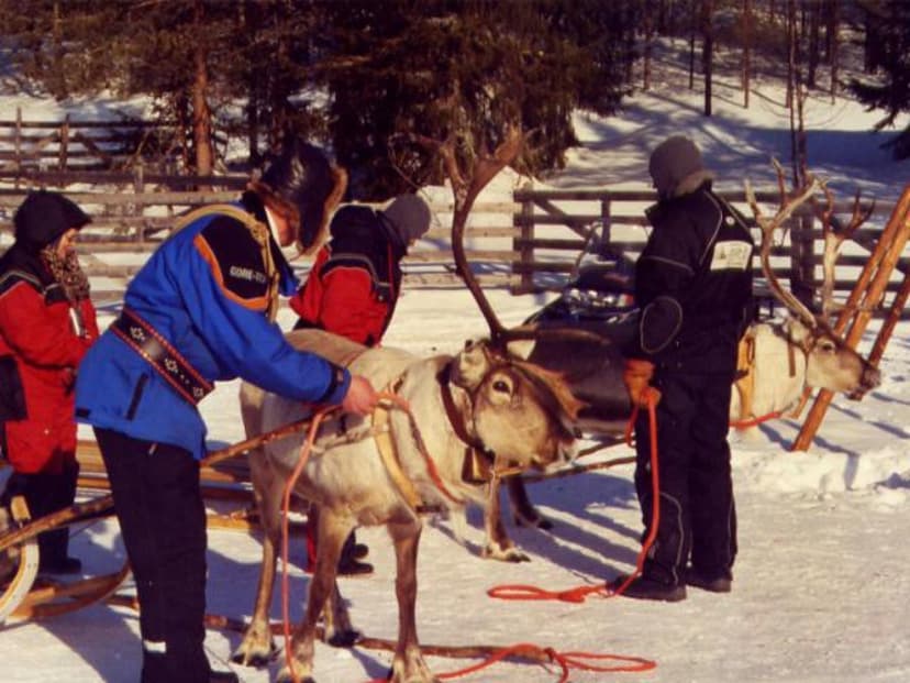 Porosafari neljälle | Kuusamo