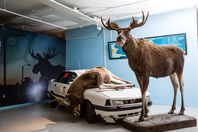 Haastavien olosuhteiden opastettu ajoelämys ja ajoturvallisuuskoulutus perheelle tai kaveriporukalle | Vantaa | Nummela