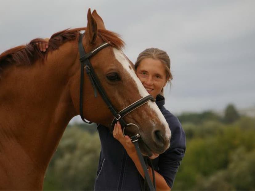 Yksityinen ratsastustunti maneesissa | Kirkkonummi