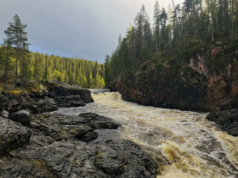 Kesäinen selviytymisretki Lapissa kahdelle | Rovaniemi