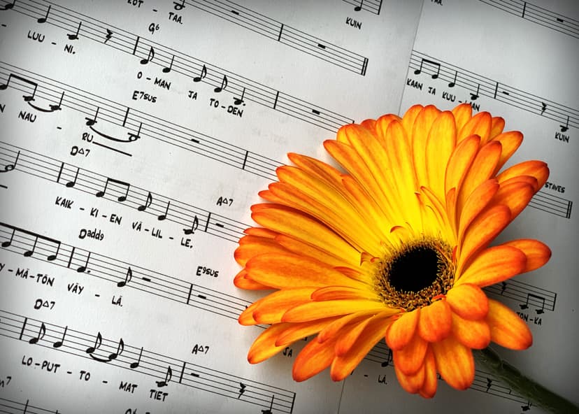 Laulu lahjaksi | Online