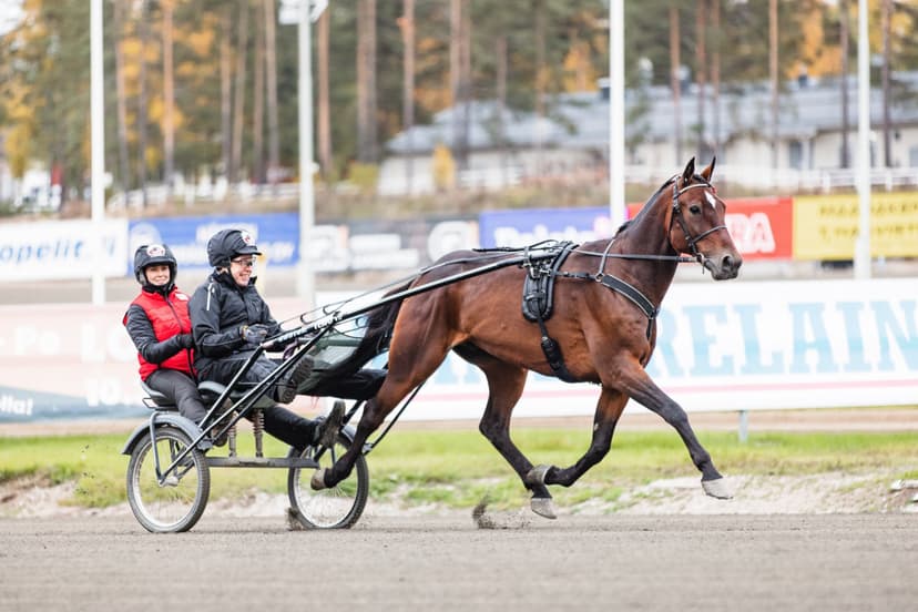 Elämysajo ravihevosella | Tampere