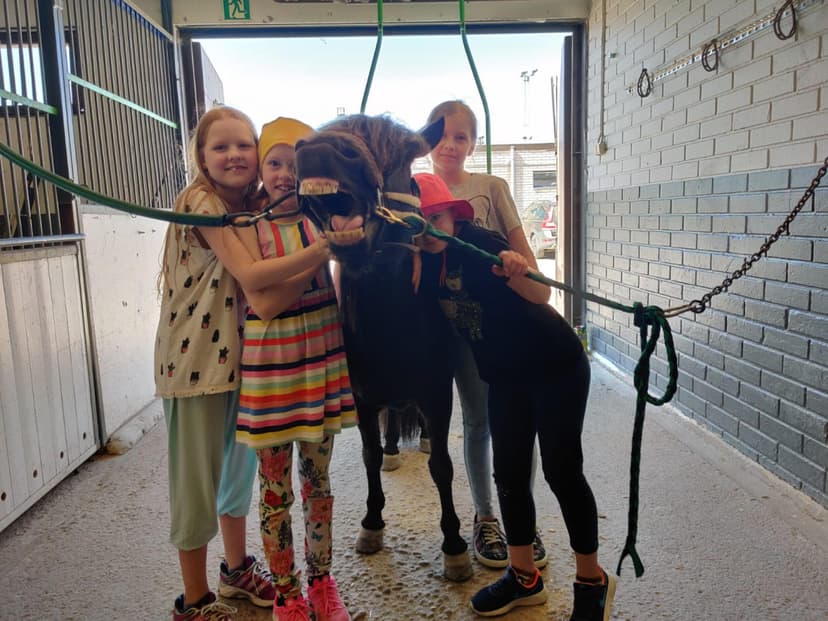 Lasten poni/kepparisynttärit (5 hlö) | Tampere