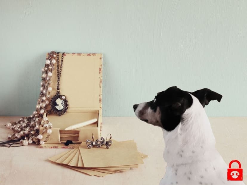 DOGescape koirapakopeli 2-4:lle - Kauppa-apulaisen ahdinko | Turku