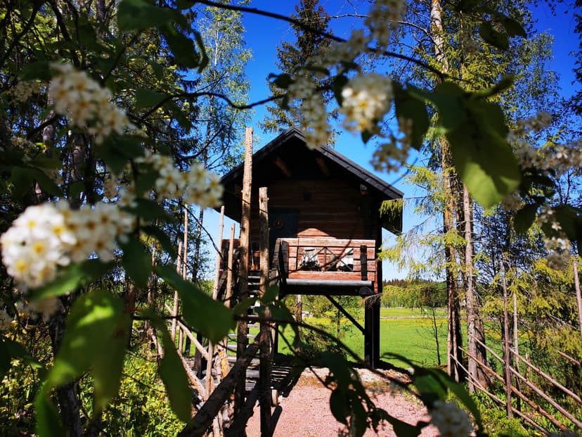 Romantiikkaa Puumaja Sydänkävyssä -vierailupaketti kahdelle | Ikaalinen
