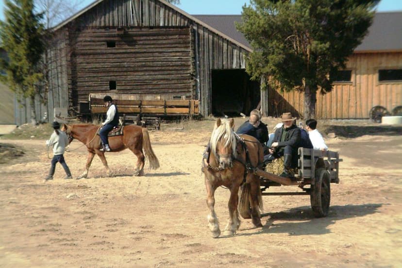 100 € avoin lahjakortti – Luomajärven Hevoskievari | Ikaalinen