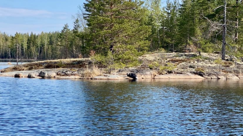 Norpparetki lapselle ekopaatilla | Puumala