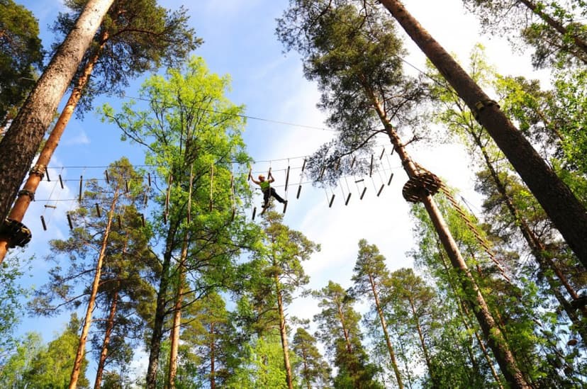 Atreenalin 3 tunnin seikkailulippu, aikuinen | Lappeenranta