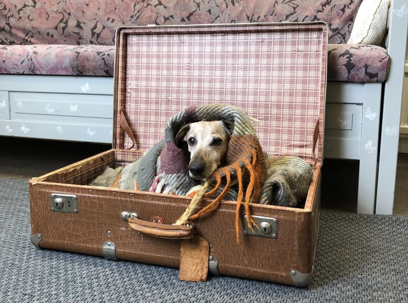 Virkistystä ikäihmiselle | Järvenpää