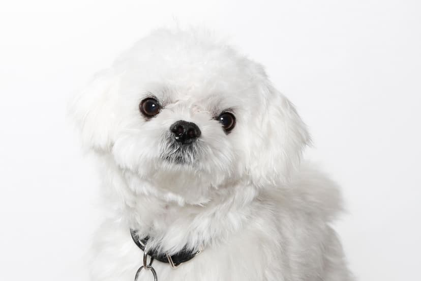 Kuvamuistoja-valokuvaus | Pääkaupunkiseutu