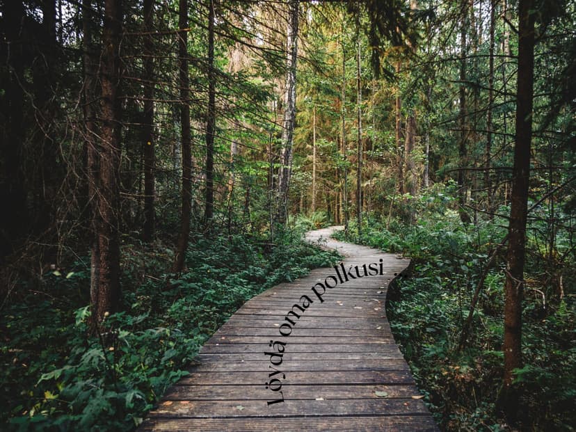 Löydä oma polkusi – Life Coaching valmennus | Online