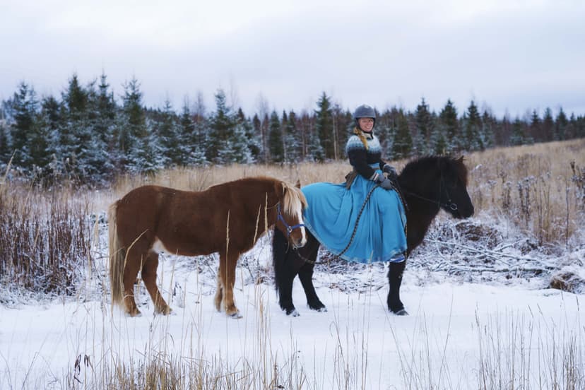 Ohjattu yksityinen ratsastusretki islanninhevosella 1,5h | Pertunmaa