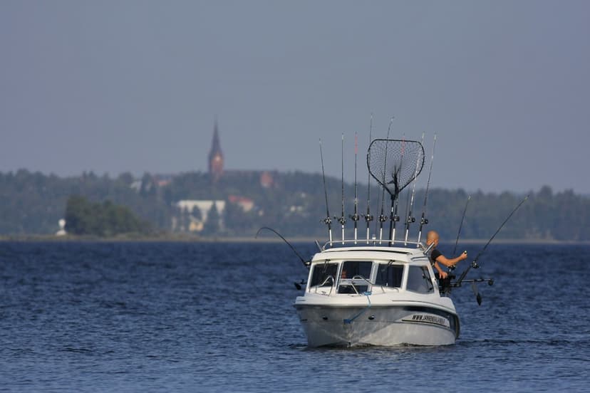 Vetouisteluretki Pielisellä 4-5:lle | Nurmes