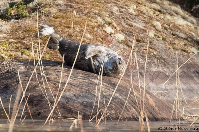 Saimaaretki ekopaatilla kahdelle | Puumala