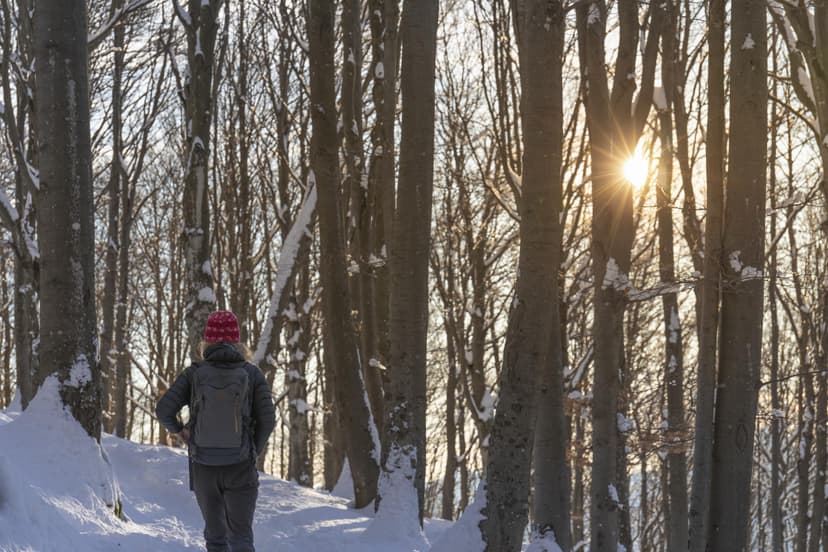 Ohjattu Mindfulness-retki metsään ja nokipannukahvit 9:lle | Pääkaupunkiseutu